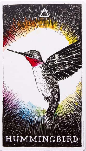 Hummingbird Card from the Wild Unknown Animal Spirit Oracle